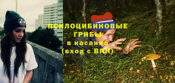Альфа ПВП Вяземский