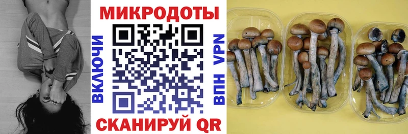 Купить  Красноперекопск  Псилоцибиновые грибы мухоморы 